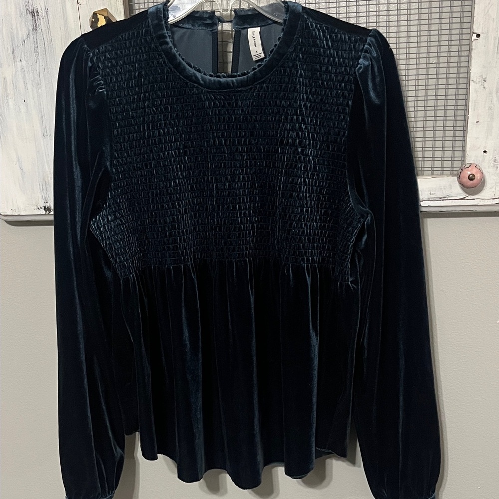 Gentle Fawn Teal Blue Velvet Blouse